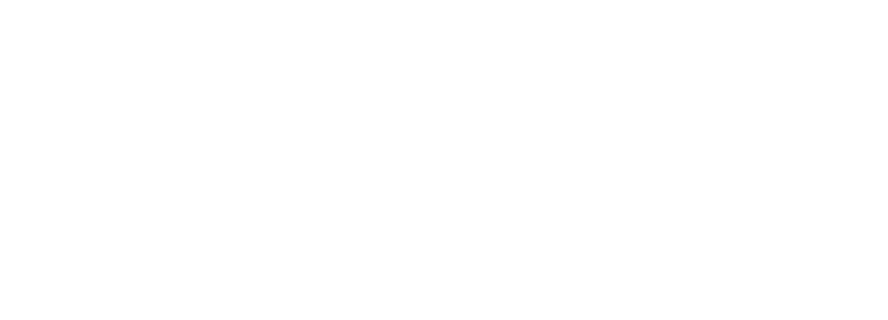 car number plate_2-AUS-01